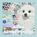 대한메추리 | 편식하는 노령견도 믿고 먹는 강아지특식! '여시까까 소고기메추리알치즈완자'