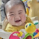 행정용 34번 | 5개월 아기 장난감 대여, 엑서쏘서 댄싱로봇 빗보 (쏘서 차에 못실은 후기..)