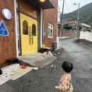 죽림하금마을회관 | 아기랑 통영여행 통영투어패스 이용 후기