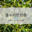봄누리한의원
