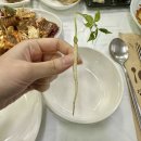 [충북 보은/속리산] 속리산 법주사 맛집 ‘배영숙산야초밥상’ 후기