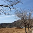 효석문학100리길 제4구간 이미지