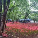 서대구완충녹지(7BL) 이미지