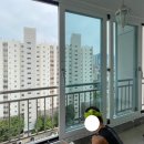 상인보성 이미지