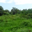 색달동-3 이미지