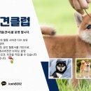 한국시바견클럽 이미지