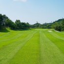 스카이 밸리 이미지