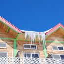 대관령 지니하우스 이미지