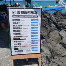 함덕돌핀레저