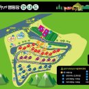 솔향기캠핑장 이미지