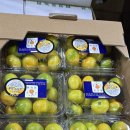 도토리하우스 이미지