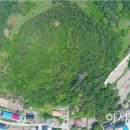 하의 대리당 이미지