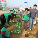 부적농협주유소 이미지