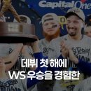 댓글 민심 안좋은 김혜성 뉴스 예고편 이미지