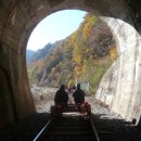 아라리펜션 이미지