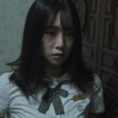 홍석연 카카오 검색결과