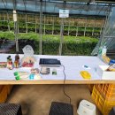 태봉농장 이미지