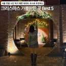 영프라자(개방) | 서울 크리스마스 연말 가볼만한 곳 Best 5 사진 찍기 예쁜 장소 데이트 코스 추천
