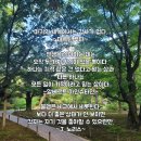 believing miracles_ 이미지