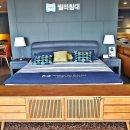 씰리전군점 이미지