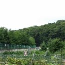 분당-394 이미지