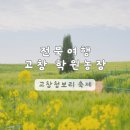 평지농장 | 전북 여행 고창 | 고창 청보리밭 축제 정보 총정리 학원농장 유채꽃 2026 실시간 후기