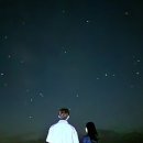 운모아 여행사