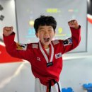 품 태권도 이미지