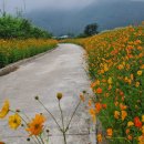 평창읍사무소 이미지