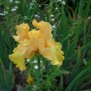 제일양복세탁소 이미지