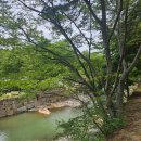 구룡지 | 양산 통도사) 8월 배롱나무 상황 / 양산 사찰 / 걷기좋은 사찰 / 양산 가볼만한 곳 / 부산 근교 사찰...