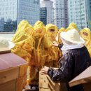 케이비그룹 이미지