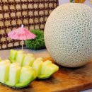 시원농장 이미지