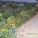 햇살마루목장 이미지