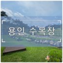 용인세무서 | 용인 수목장 정식 허가 시설 구분법과 장기 안정성 확인 포인트