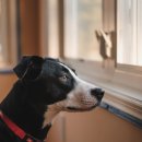 모현동물병원 이미지