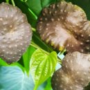 압구정코아지앤미의원 이미지