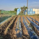 재욱농장 이미지