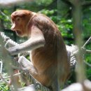 ㈜ 셀파리무진투어 | 인천공항 장기주차장 요금 할인 예약 이용 팁