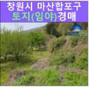 진전면906 이미지