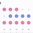 야즈정 잘 아시는 줌님 이미지