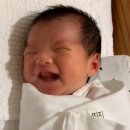 용균축산 | 여름 지나 가을