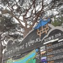(주)영동여행사 이미지