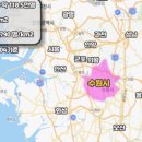 나무와 친해지기 이미지