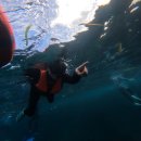 필리핀 보홀 여행기 .... 9 이미지