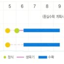 텃밭에서 잎들깨 잘 기르는 요령 이미지