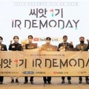 홀씨앗 이미지