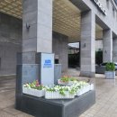 풍향모텔 | 동대문ddp역 가성비 내돈내산 숙소 2박 후기 - 을지로 코업레지던스