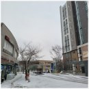 판교동513-3 이미지