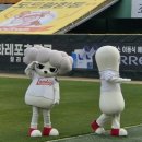 댕기푸리 네이버블로그